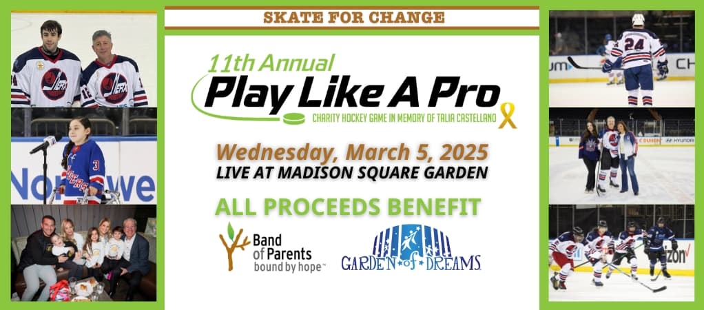 11th Annual Play Like a Pro Charity Hockey Game